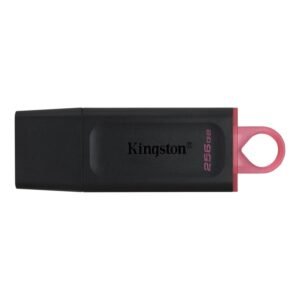 Kingston DataTraveler DTX 256GB USB 3.2 Gen1 Negro