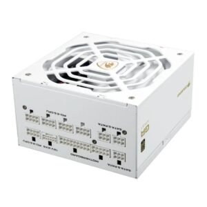 Cougar Fuente Alimentación GR 1000 Snow 80+ Gold